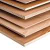Hardwood Plywood 2440 X 1220 X 18mm Fsc (8ft X 4ft) - Pack Of 50